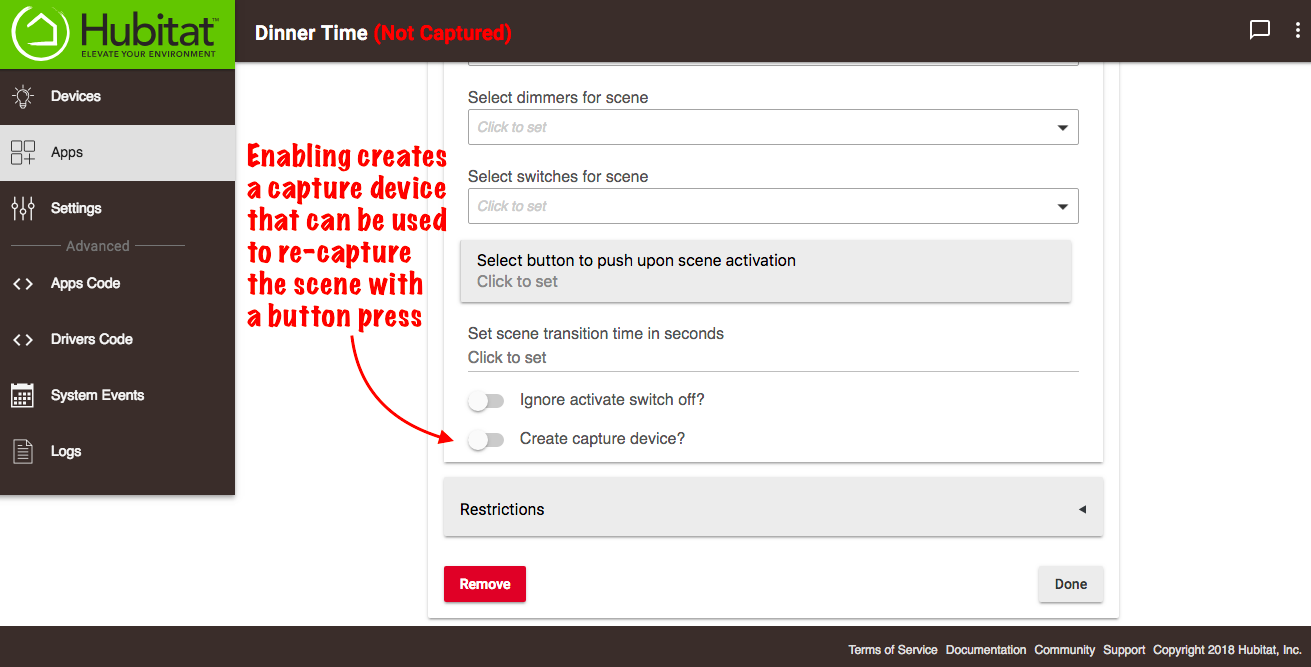 Scene capture option.png